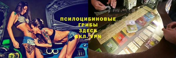 амф Арсеньев